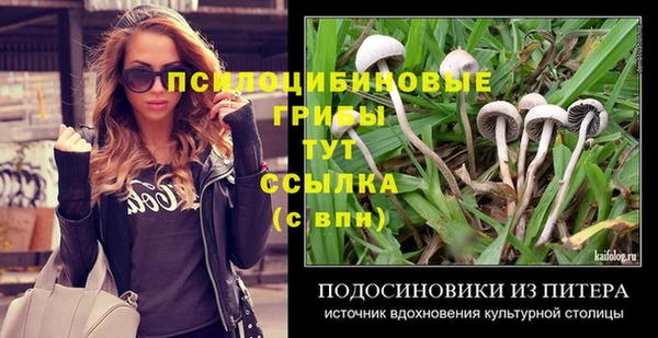 каннабис Арсеньев