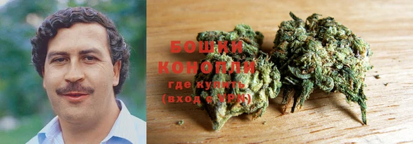 ГАЛЛЮЦИНОГЕННЫЕ ГРИБЫ Баксан