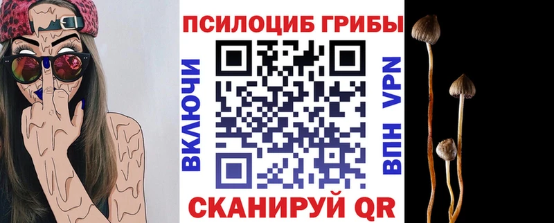 цена наркотик  Крым  Галлюциногенные грибы GOLDEN TEACHER 